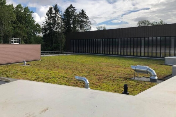 2-Toiture-vegetalisee-Groupe-scolaire-St-Genis-Pouilly