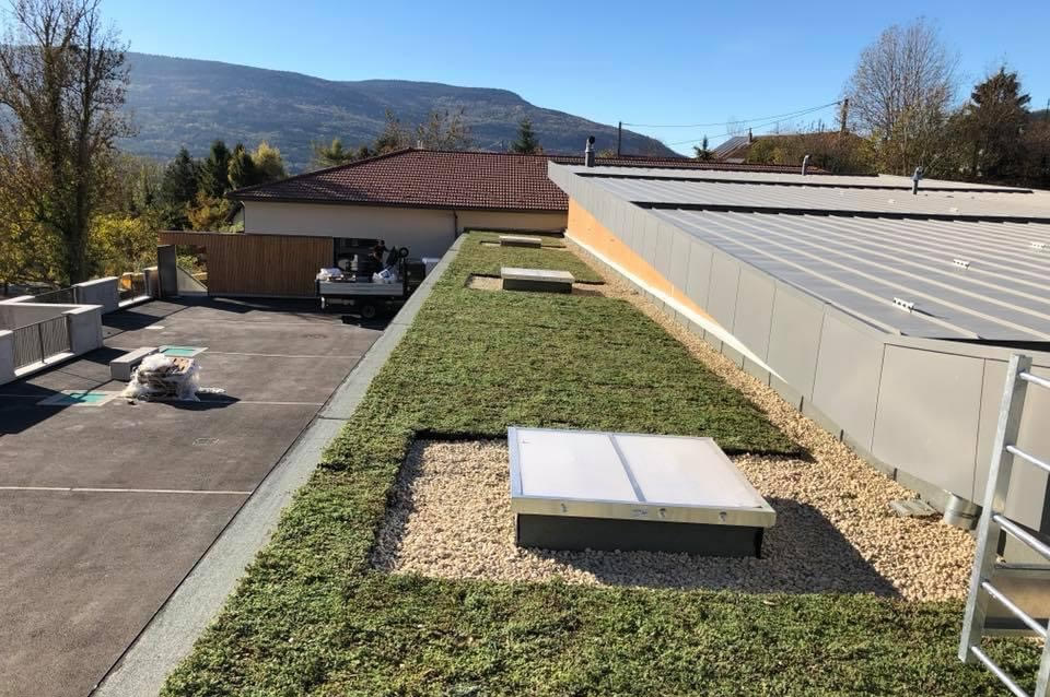 Preau-vegetalise-sur-cour-Ecole-de-Confort
